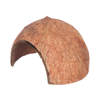 GLOXY Декорация природная Кокосовая скорлупа, 10х10х7 см